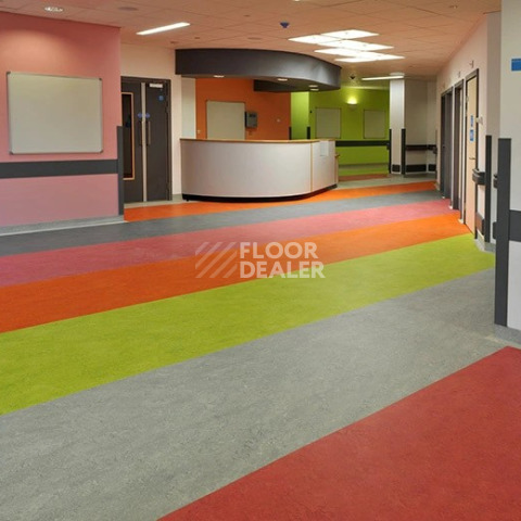 Forbo Marmoleum Marbled Real 2621/262135 Dove Grey фото 2 | FLOORDEALER